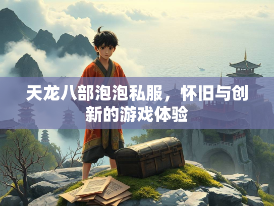 天龙八部泡泡私服，怀旧与创新的游戏体验  第3张