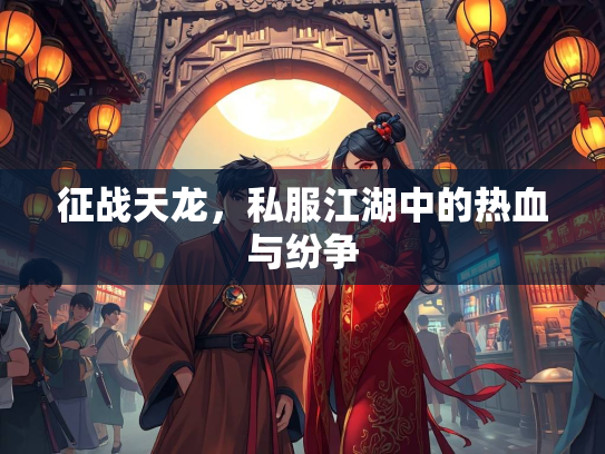 征战天龙，私服江湖中的热血与纷争  第2张