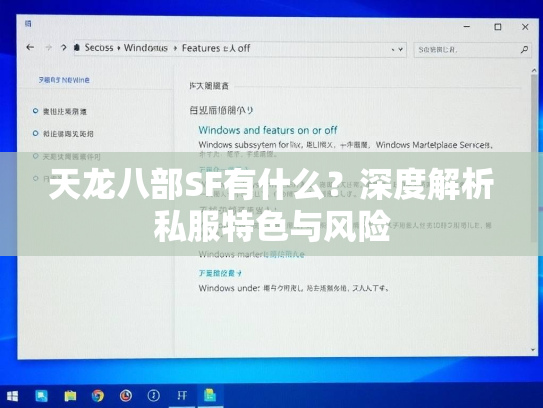 天龙八部SF有什么？深度解析私服特色与风险