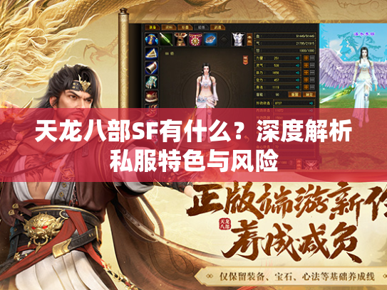 天龙八部SF有什么？深度解析私服特色与风险