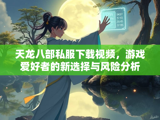 天龙八部私服下载视频，游戏爱好者的新选择与风险分析  第2张