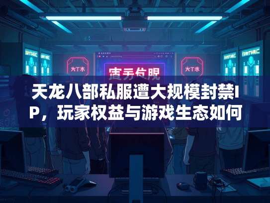 天龙八部私服遭大规模封禁IP，玩家权益与游戏生态如何平衡？  第3张