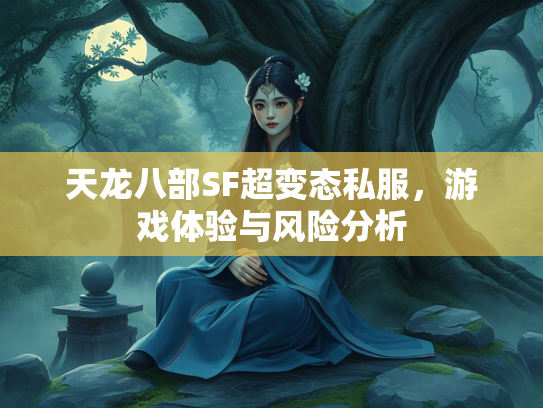 天龙八部SF超变态私服，游戏体验与风险分析
