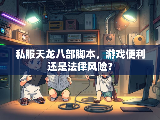 私服天龙八部脚本，游戏便利还是法律风险？