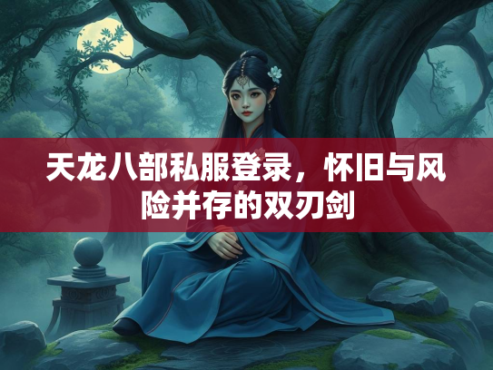 天龙八部私服登录，怀旧与风险并存的双刃剑  第2张