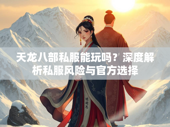 天龙八部私服能玩吗？深度解析私服风险与官方选择  第2张