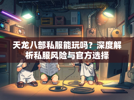 天龙八部私服能玩吗？深度解析私服风险与官方选择  第3张