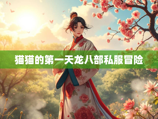 猫猫的第一天龙八部私服冒险  第2张