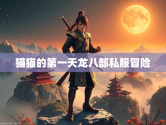 猫猫的第一天龙八部私服冒险  第3张