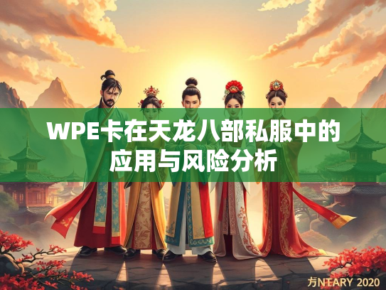 WPE卡在天龙八部私服中的应用与风险分析  第3张