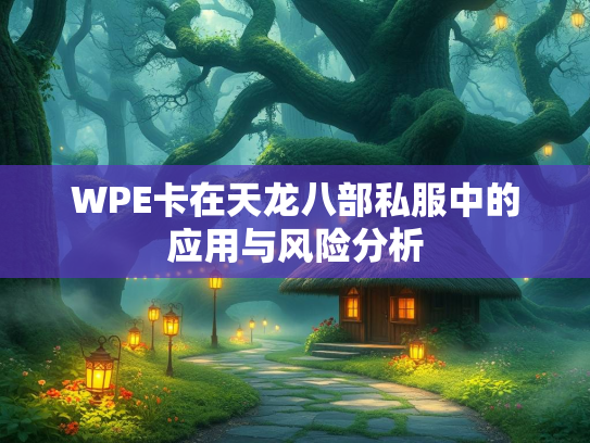 WPE卡在天龙八部私服中的应用与风险分析