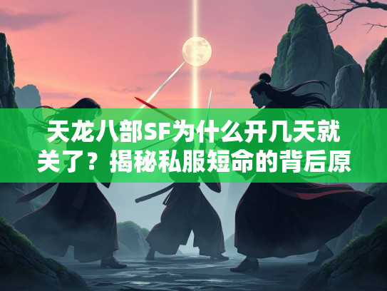天龙八部SF为什么开几天就关了？揭秘私服短命的背后原因  第2张
