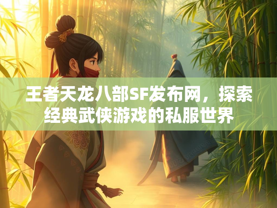 王者天龙八部SF发布网，探索经典武侠游戏的私服世界  第2张