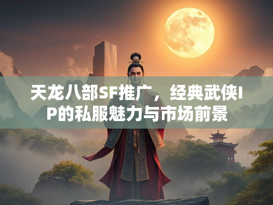 天龙八部SF推广，经典武侠IP的私服魅力与市场前景