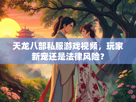 天龙八部私服游戏视频，玩家新宠还是法律风险？  第2张