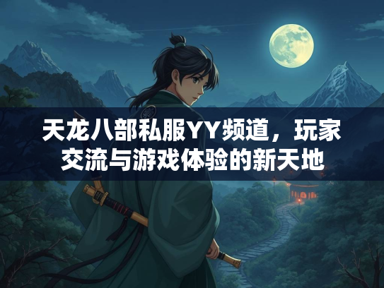 天龙八部私服YY频道，玩家交流与游戏体验的新天地  第3张