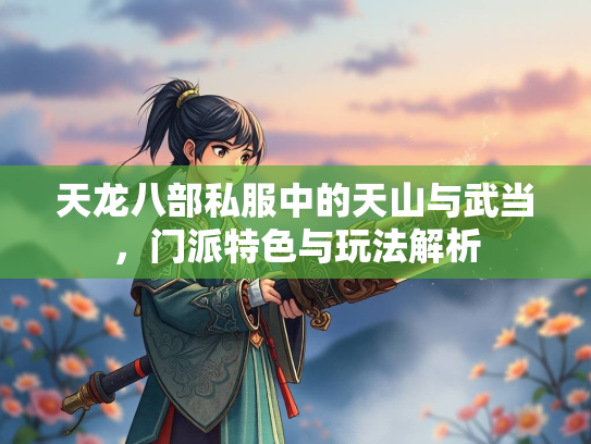 天龙八部私服中的天山与武当，门派特色与玩法解析  第2张