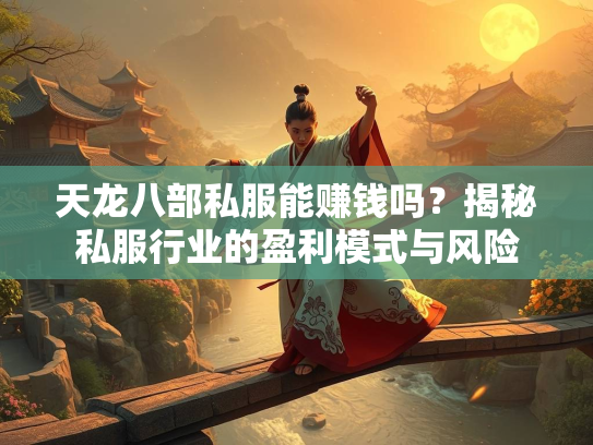 天龙八部私服能赚钱吗？揭秘私服行业的盈利模式与风险  第3张