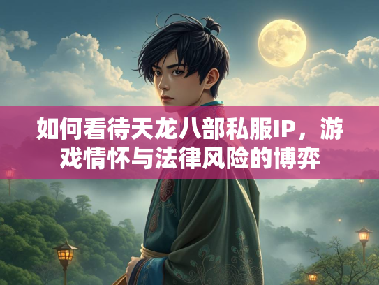 如何看待天龙八部私服IP，游戏情怀与法律风险的博弈  第3张