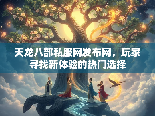 天龙八部私服网发布网，玩家寻找新体验的热门选择  第2张