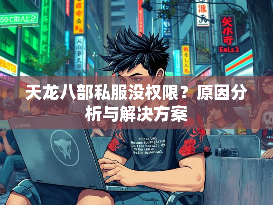 天龙八部私服没权限？原因分析与解决方案