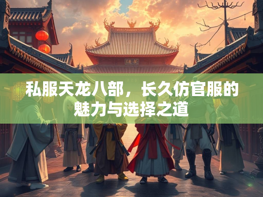 私服天龙八部，长久仿官服的魅力与选择之道  第2张