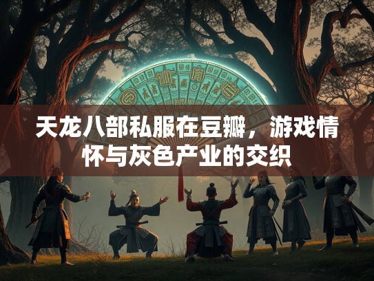 天龙八部私服在豆瓣，游戏情怀与灰色产业的交织
