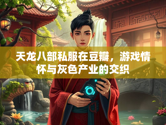 天龙八部私服在豆瓣，游戏情怀与灰色产业的交织