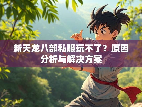 新天龙八部私服玩不了？原因分析与解决方案  第2张