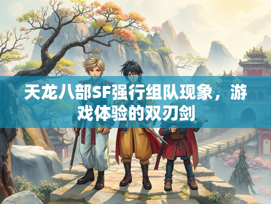 天龙八部SF强行组队现象，游戏体验的双刃剑  第3张