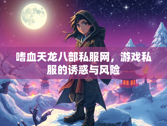 嗜血天龙八部私服网，游戏私服的诱惑与风险