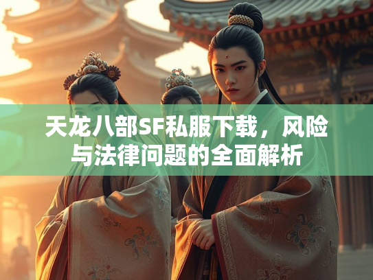 天龙八部SF私服下载，风险与法律问题的全面解析  第2张