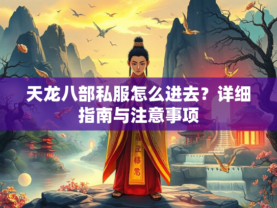 天龙八部私服怎么进去？详细指南与注意事项  第2张