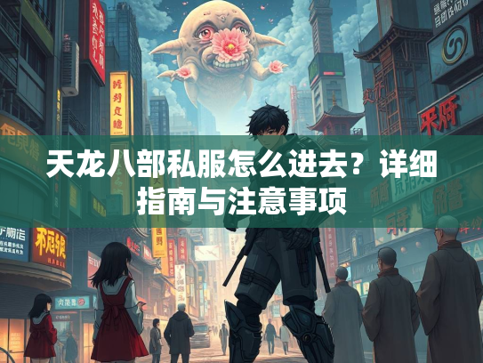 天龙八部私服怎么进去？详细指南与注意事项  第1张