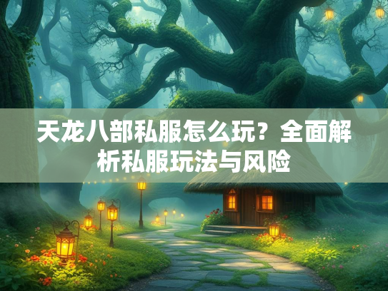 天龙八部私服怎么玩？全面解析私服玩法与风险  第2张