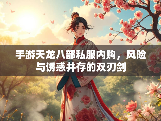 手游天龙八部私服内购，风险与诱惑并存的双刃剑  第3张