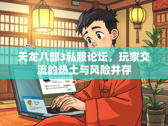 天龙八部3私服论坛，玩家交流的热土与风险并存  第2张