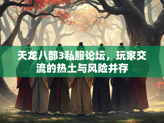 天龙八部3私服论坛，玩家交流的热土与风险并存