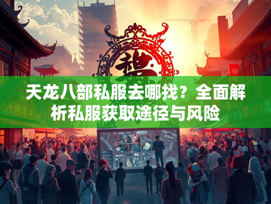 天龙八部私服去哪找？全面解析私服获取途径与风险  第2张