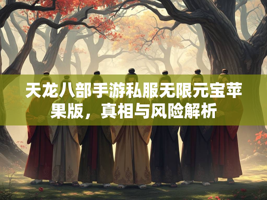天龙八部手游私服无限元宝苹果版，真相与风险解析  第2张