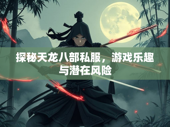 探秘天龙八部私服，游戏乐趣与潜在风险  第3张
