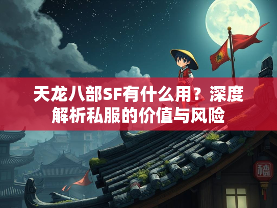 天龙八部SF有什么用？深度解析私服的价值与风险  第2张