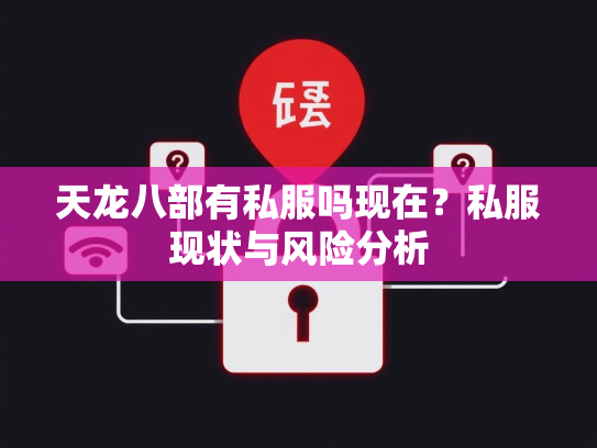 天龙八部有私服吗现在？私服现状与风险分析  第3张