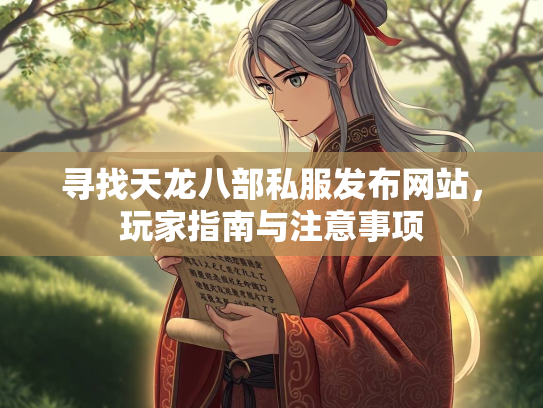 寻找天龙八部私服发布网站，玩家指南与注意事项