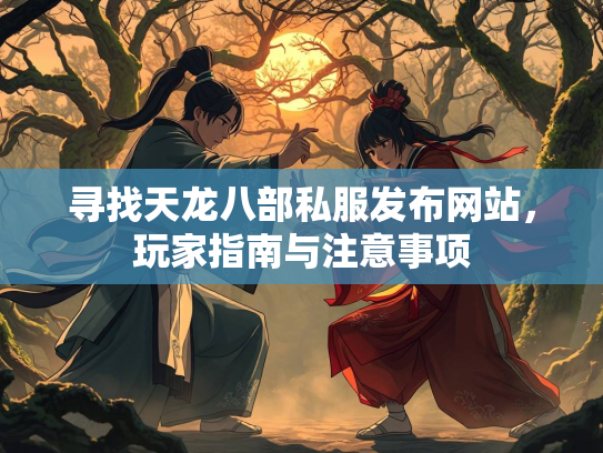 寻找天龙八部私服发布网站，玩家指南与注意事项
