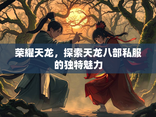 荣耀天龙，探索天龙八部私服的独特魅力
