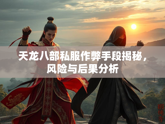 天龙八部私服作弊手段揭秘，风险与后果分析  第2张