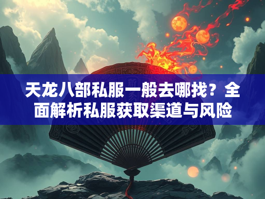 天龙八部私服一般去哪找？全面解析私服获取渠道与风险  第2张