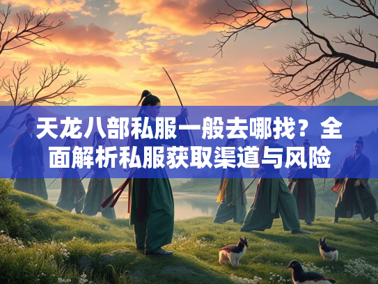 天龙八部私服一般去哪找？全面解析私服获取渠道与风险  第3张