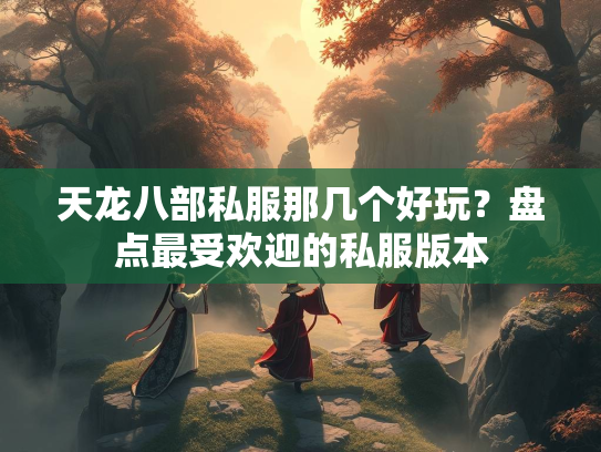 天龙八部私服那几个好玩？盘点最受欢迎的私服版本  第1张